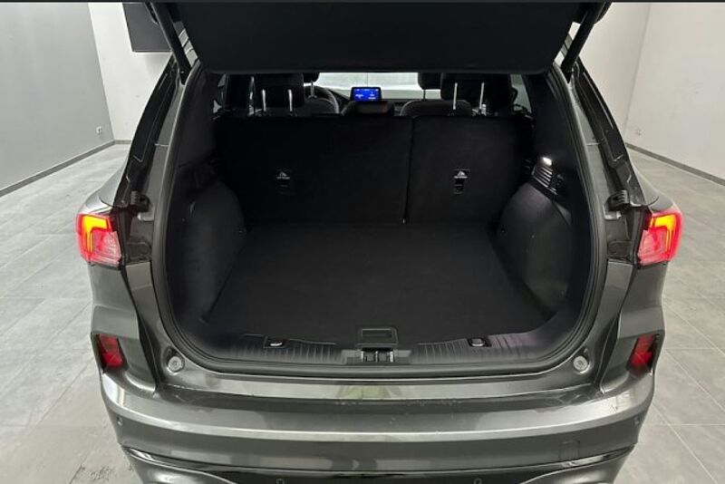 Ford Kuga Mild Hybrid ST-Line X 4x4/Navi/LED/Kam/18Zo